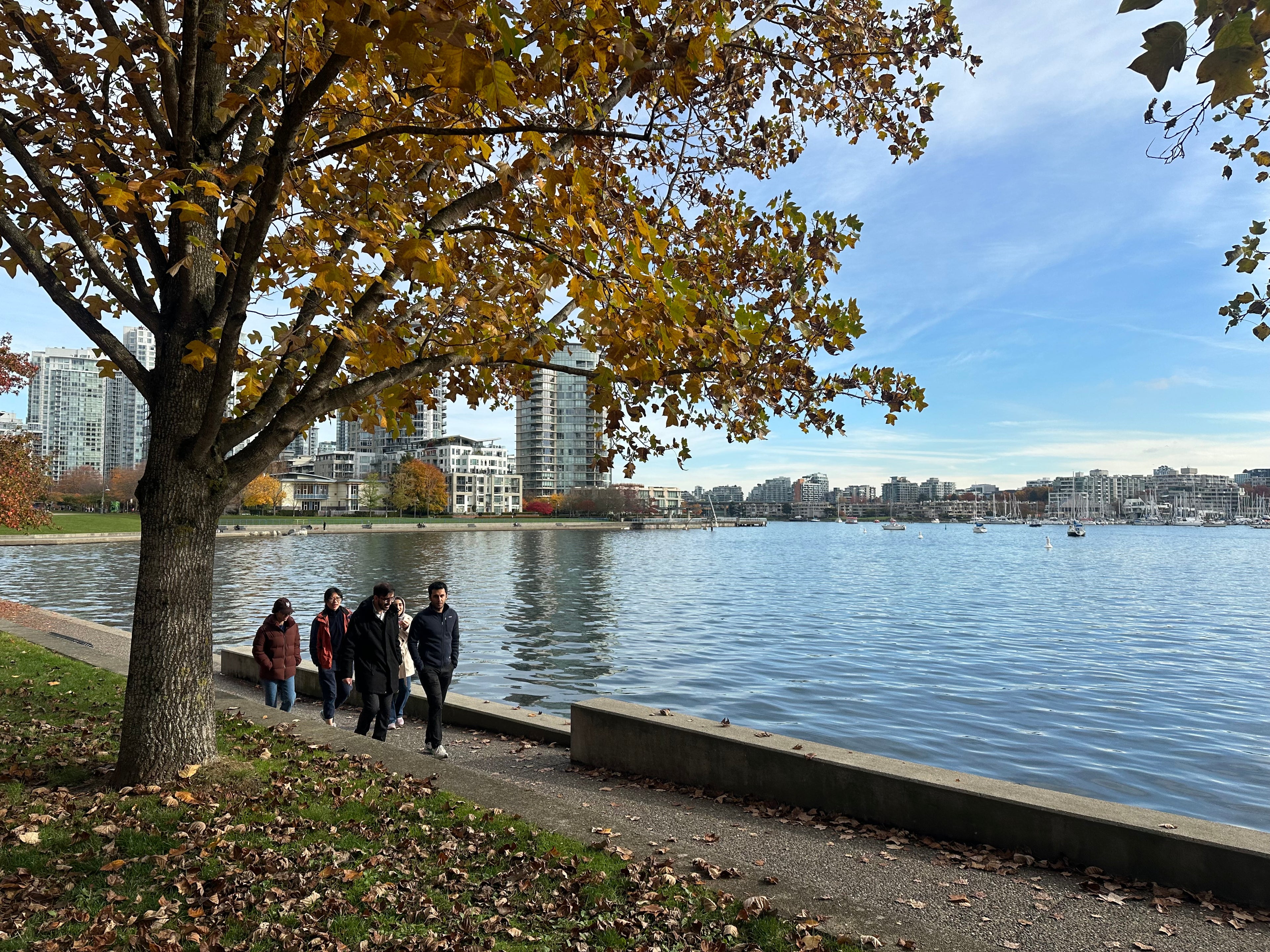 David Lam Park