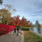 David Lam Park