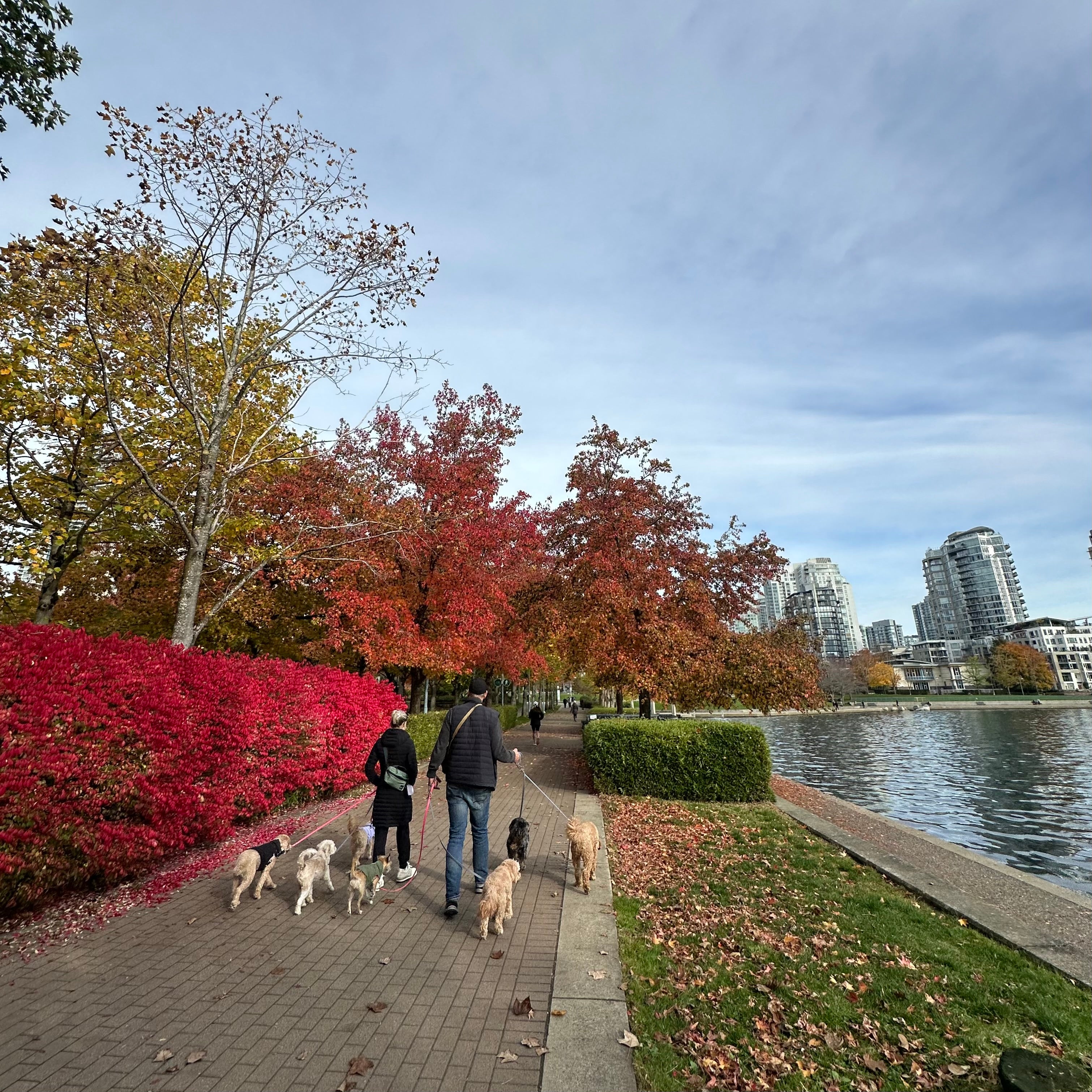 David Lam Park