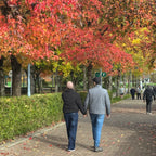 Hedge Lined Path