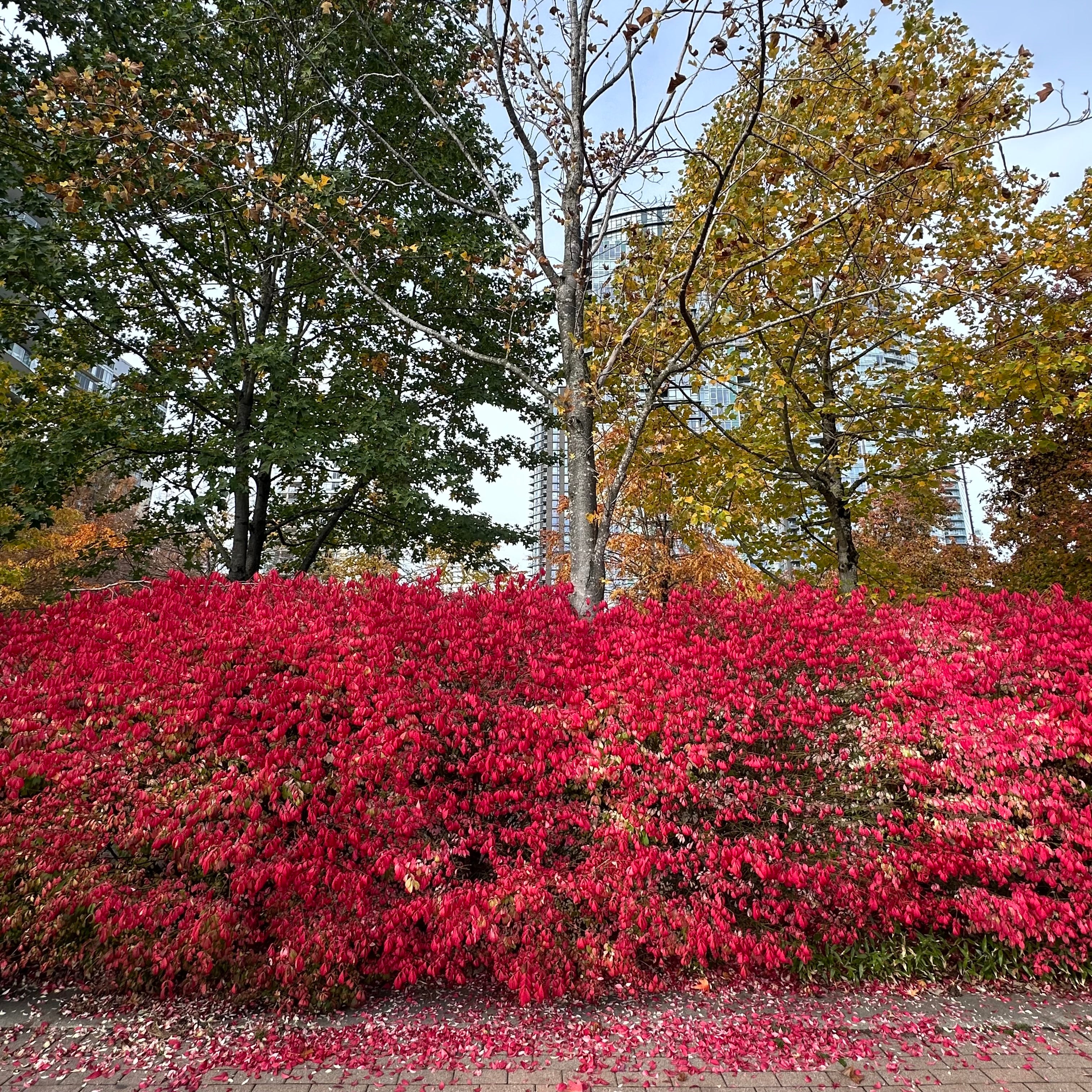 Your product, shot in front of the burning bush