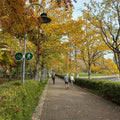 October 