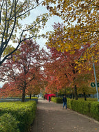 David Lam Park