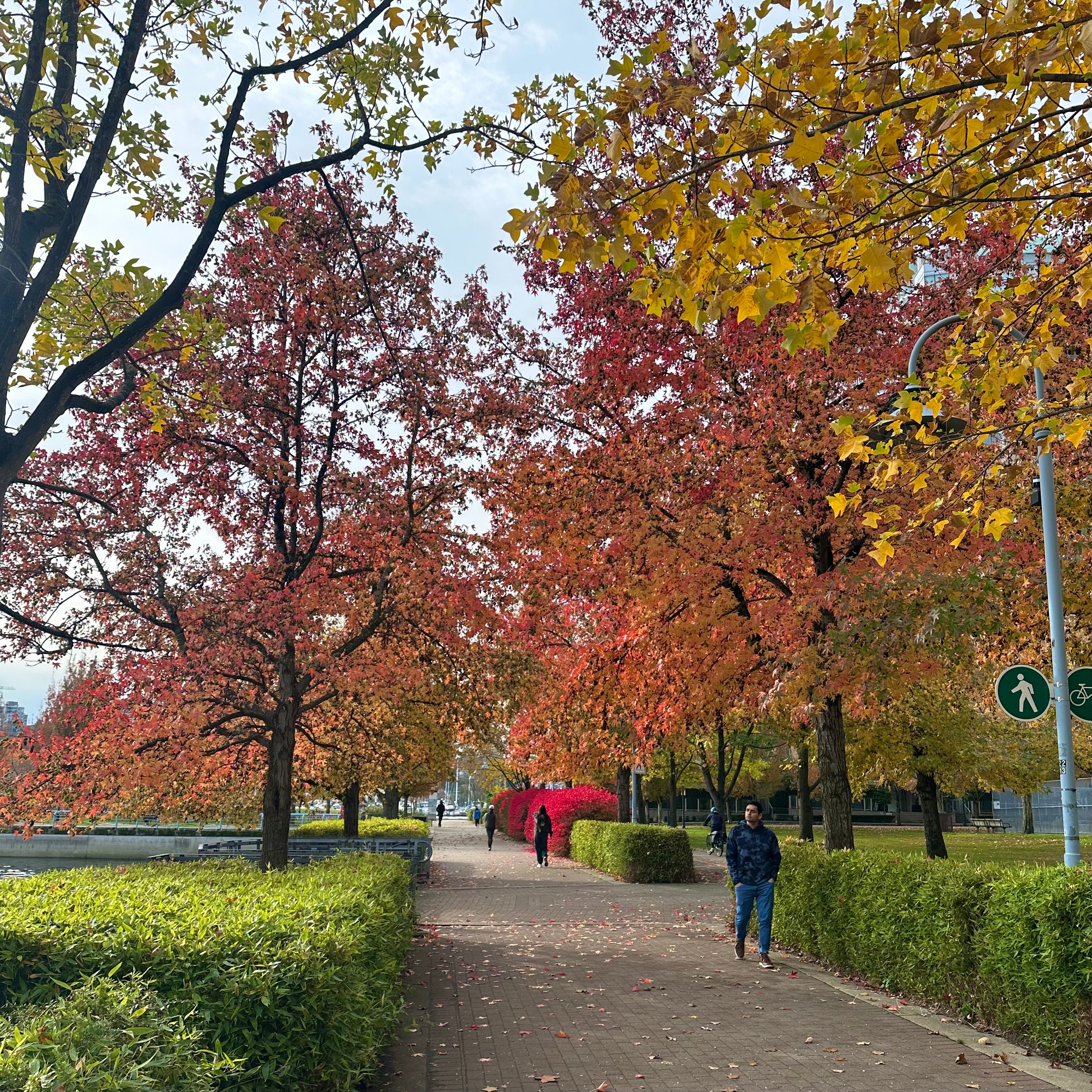 David Lam Park