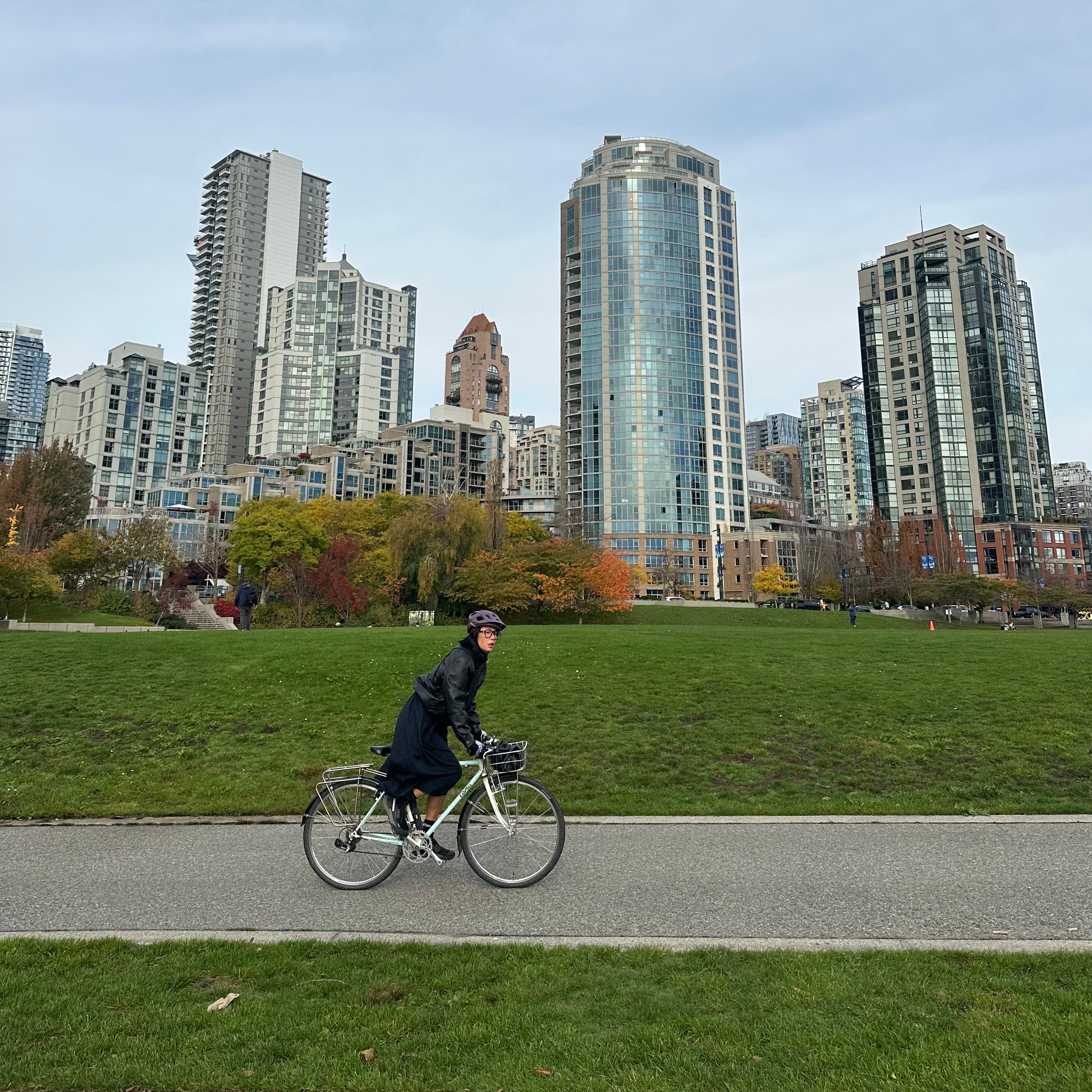 David Lam Park