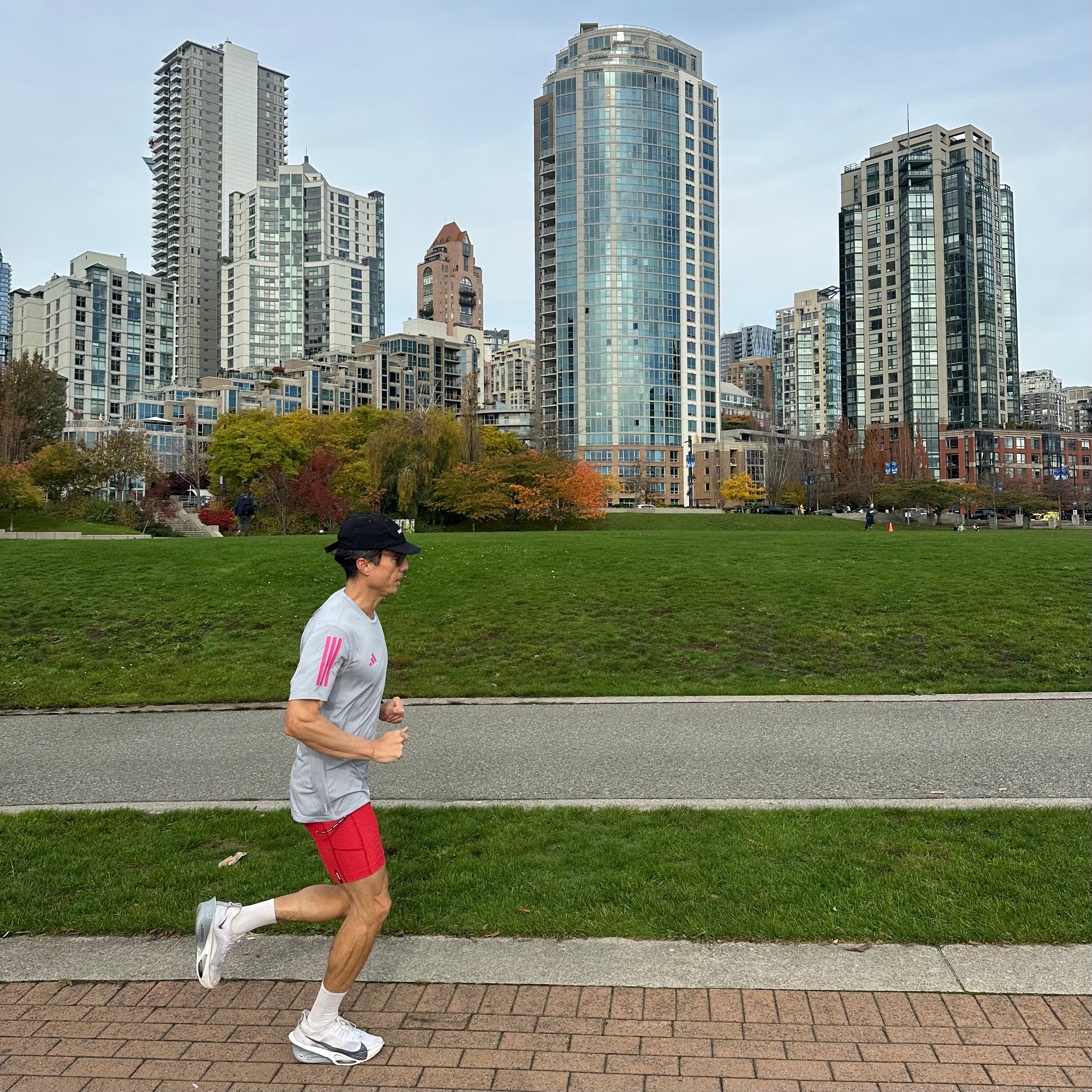 David Lam Park