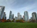 David Lam Park