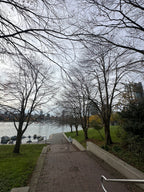 David Lam Park