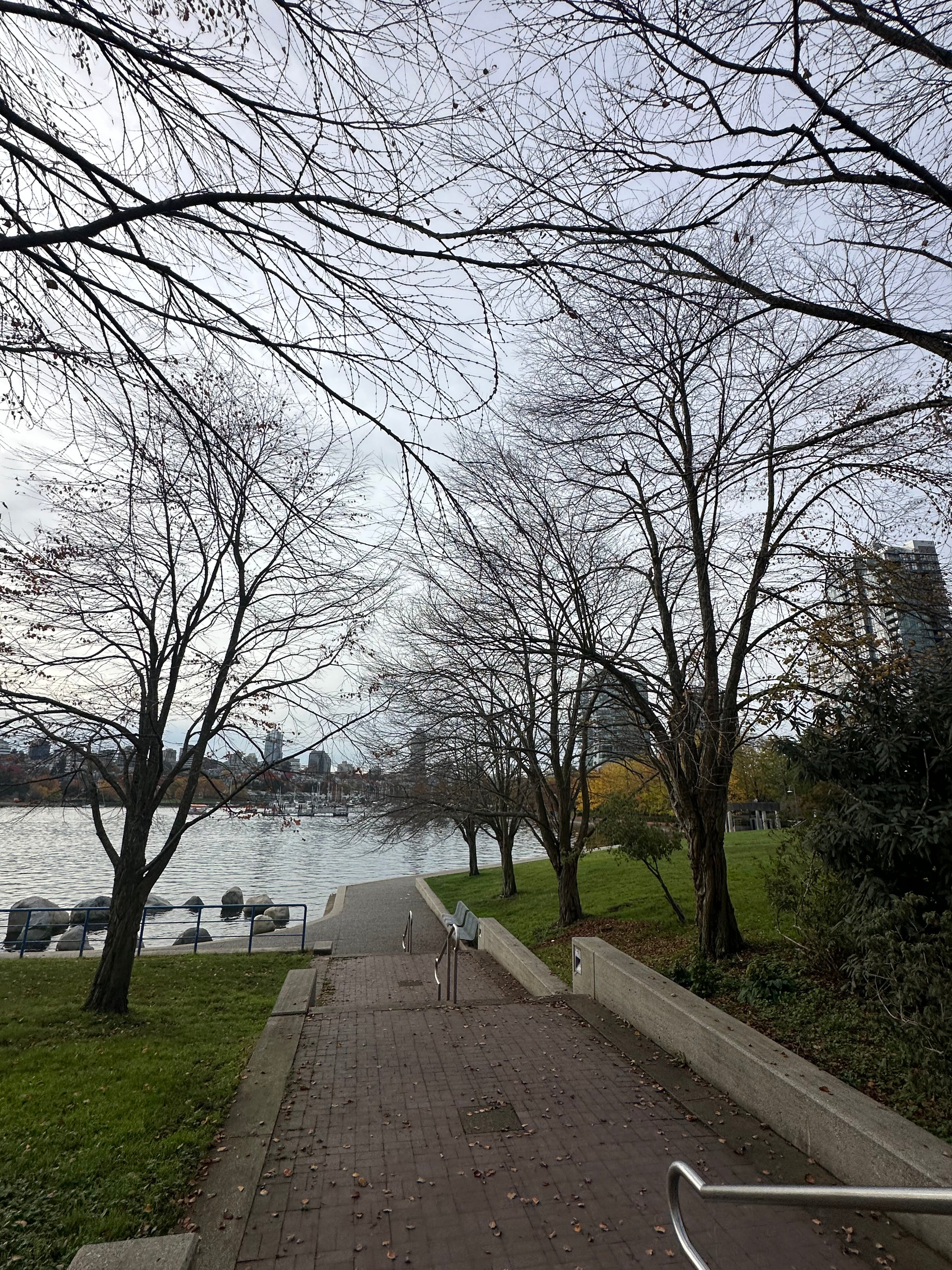 David Lam Park