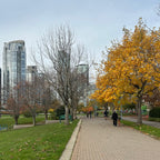 David Lam Park