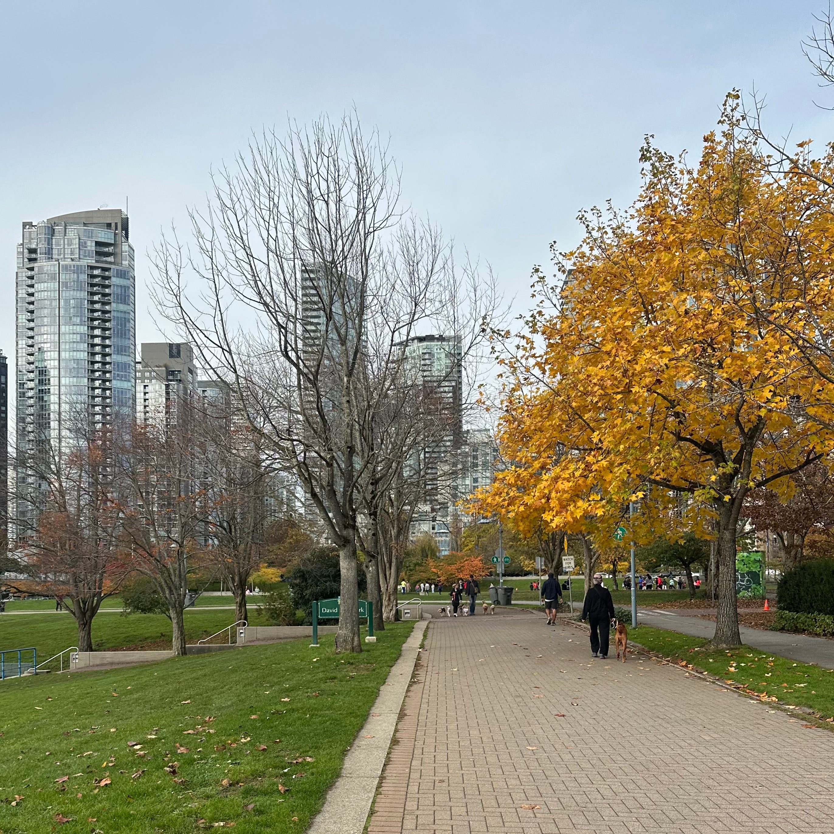 David Lam Park