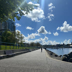David Lam Park