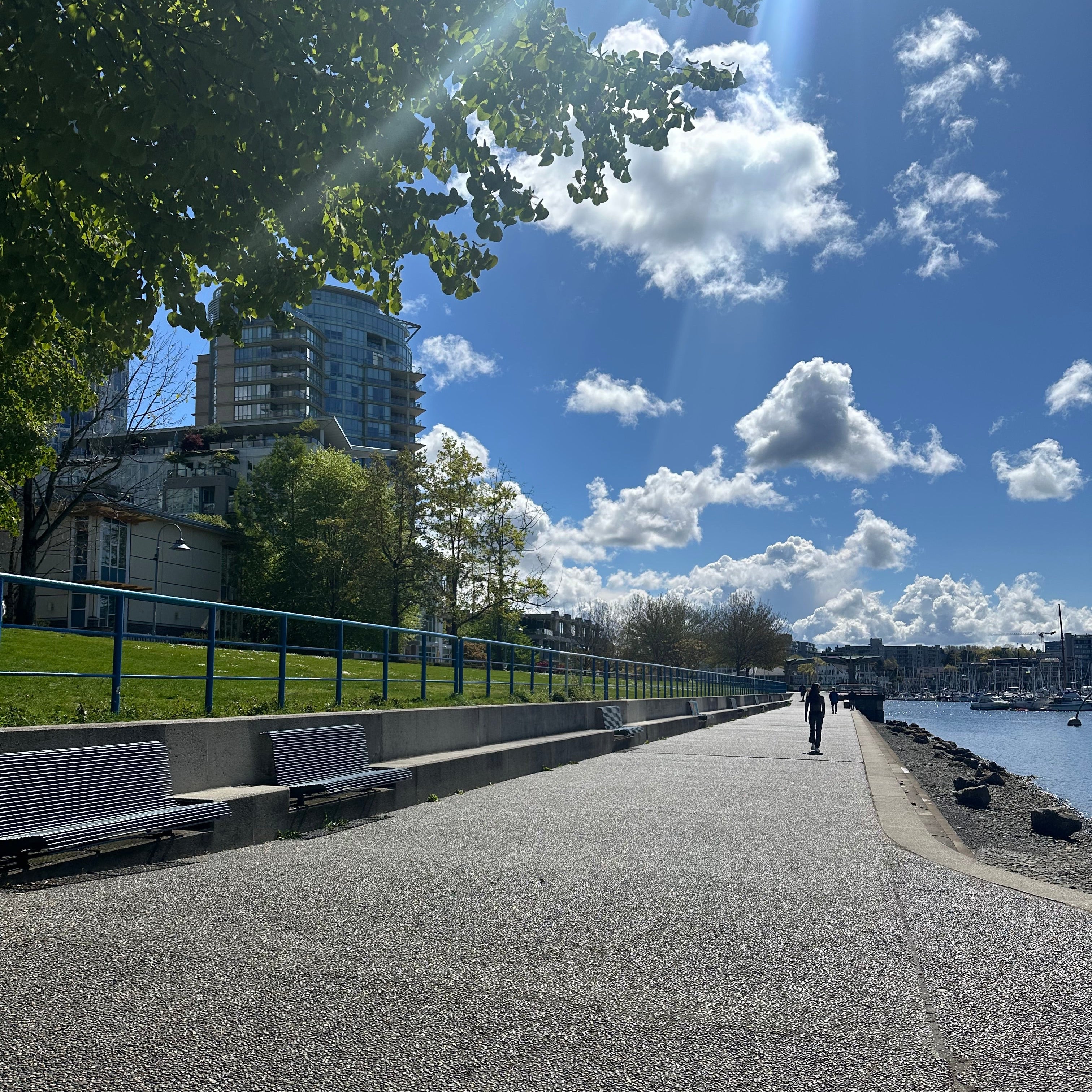 David Lam Park