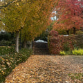 City Park Staircase