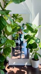 Lifestyle Imagery - The Fiddle Leaf Loft
