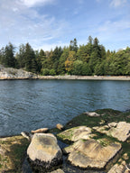 Seal Cove