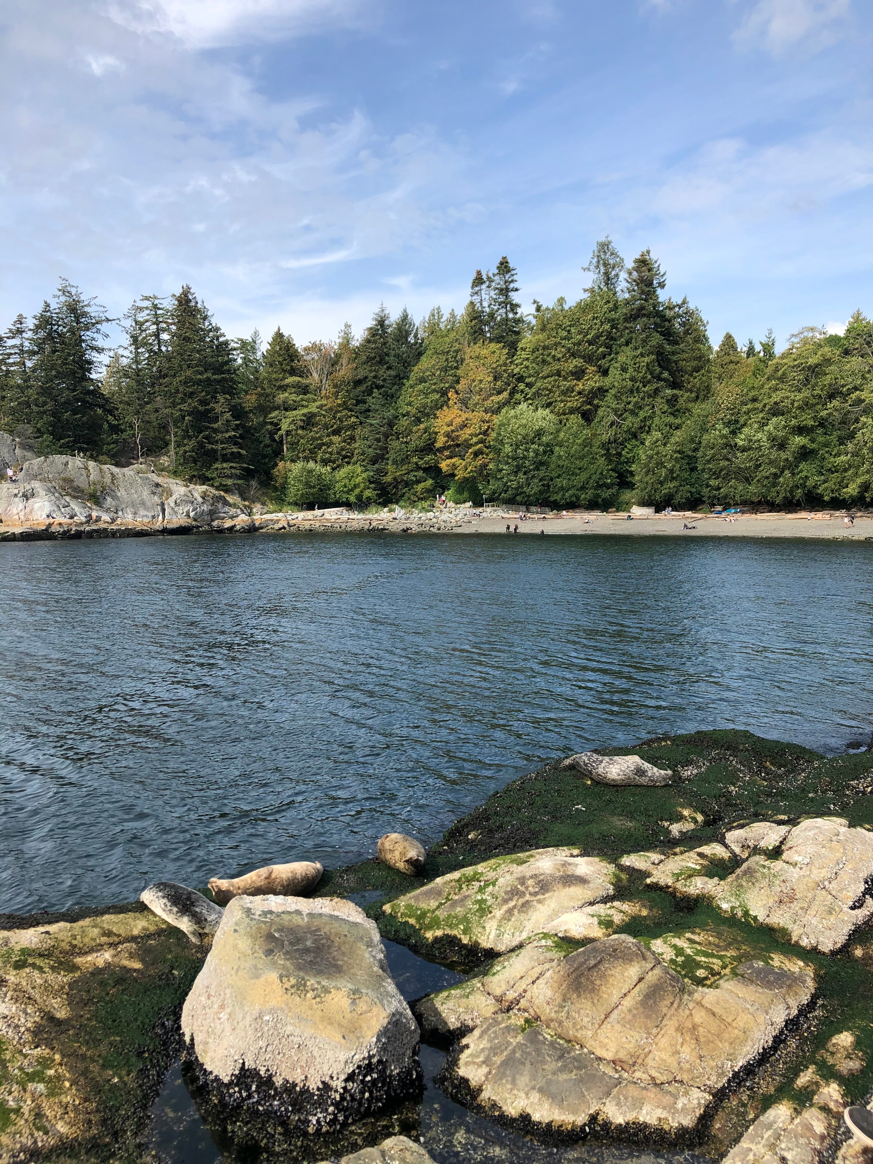 Seal Cove