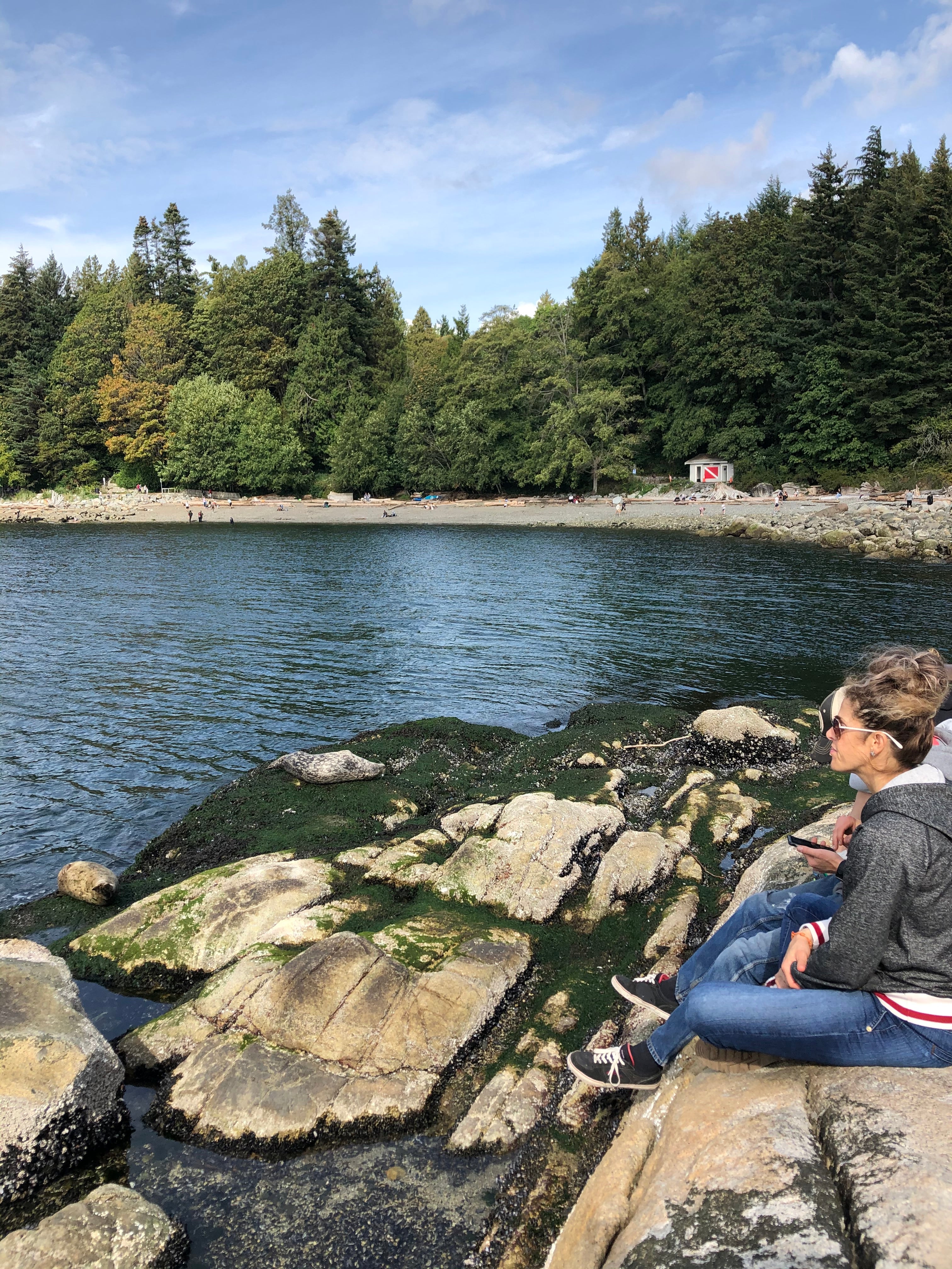 Seal Cove