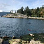 Seal Cove