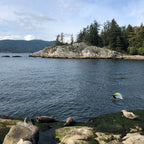 Seal Cove