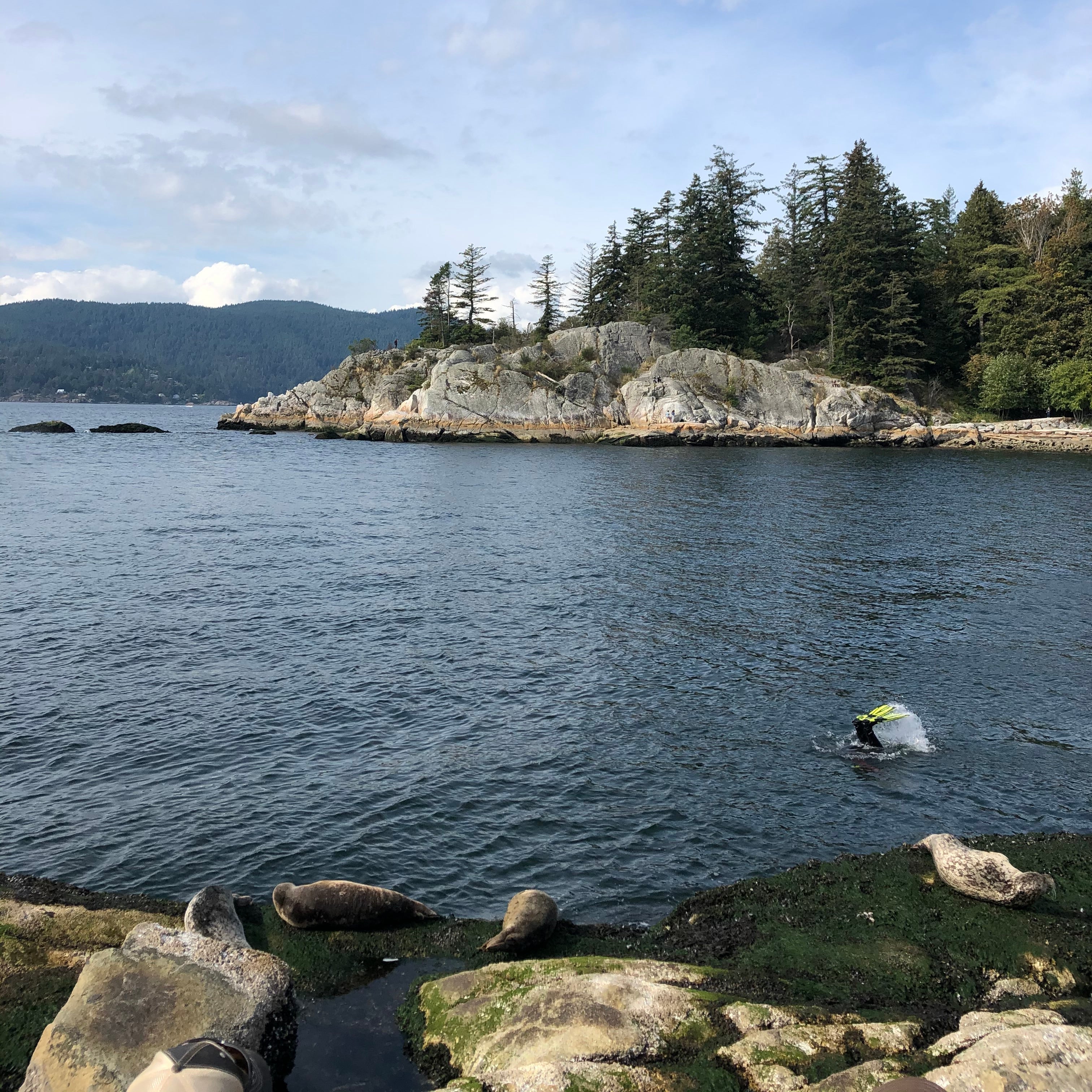 Seal Cove