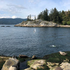 Seal Cove