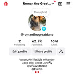 @romanthegreatdane