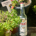 Pimm’s