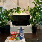 Your product, shot in front of the fiddle leaf TV