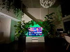 Your product, shot in front of the fiddle leaf TV