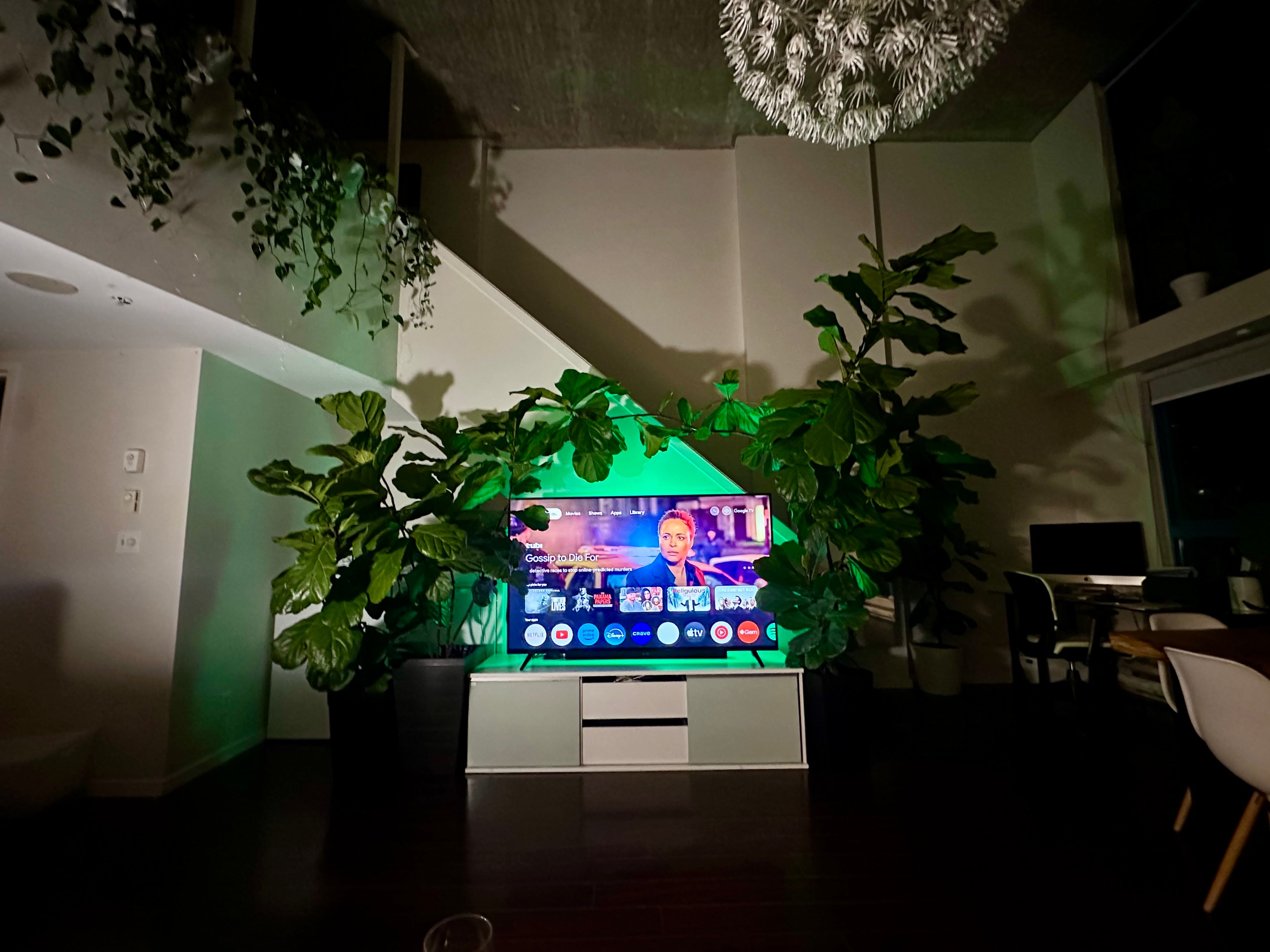 Your product, shot in front of the fiddle leaf TV