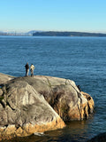 Rocky Coastline