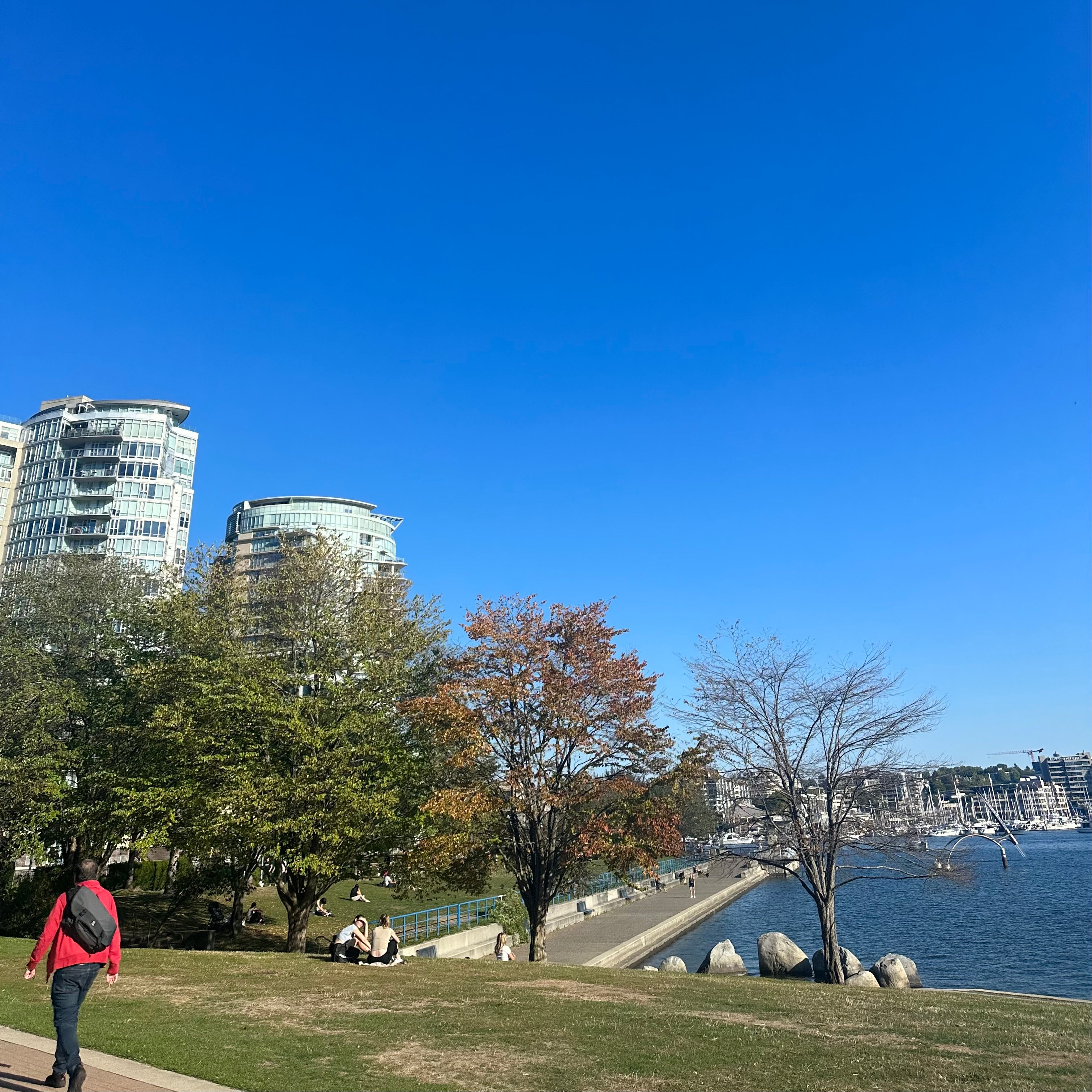 David Lam Park