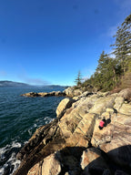 Rocky Coast West
