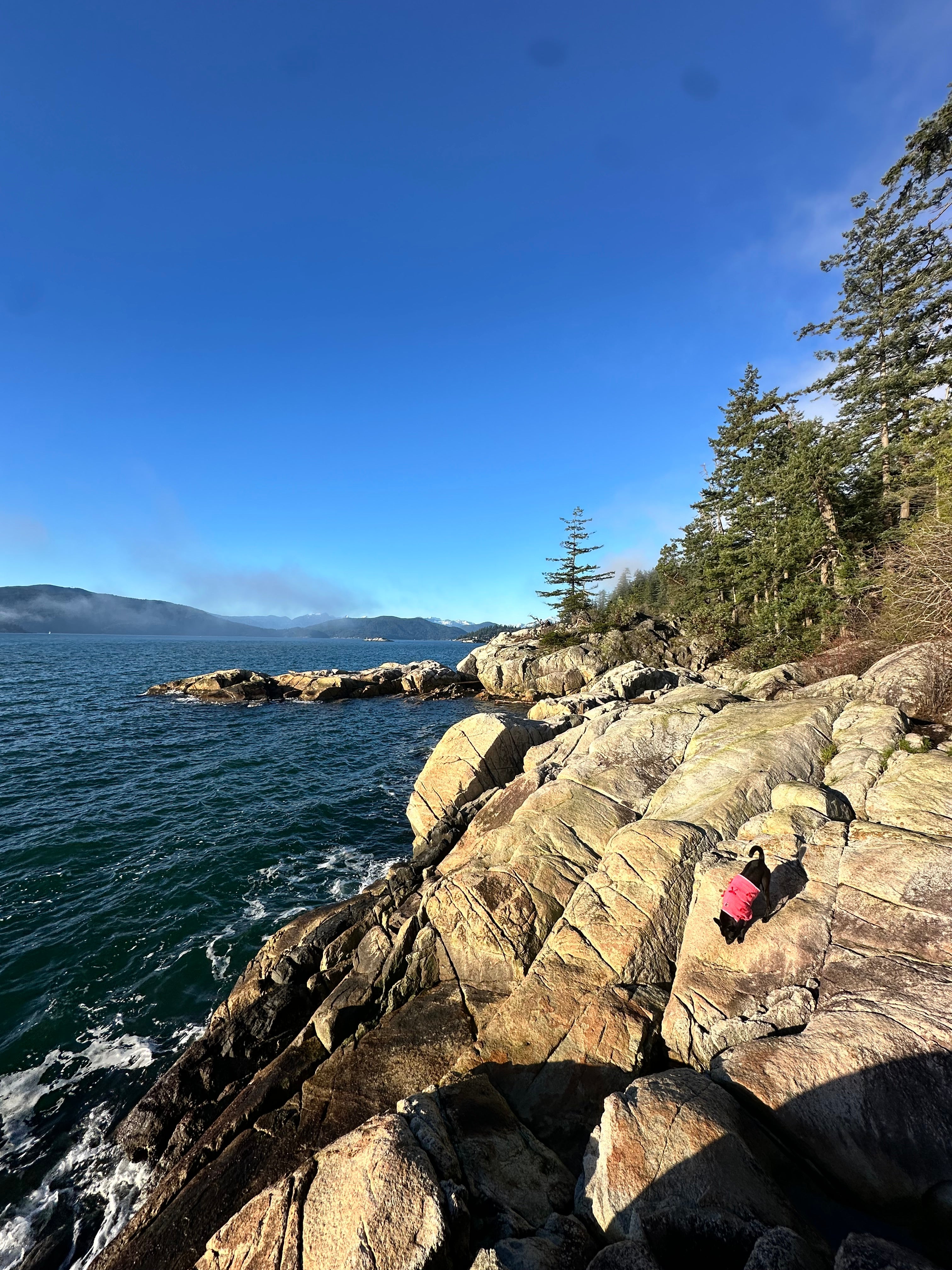 Rocky Coast West
