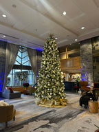 Westin Whistler Resort & Spa