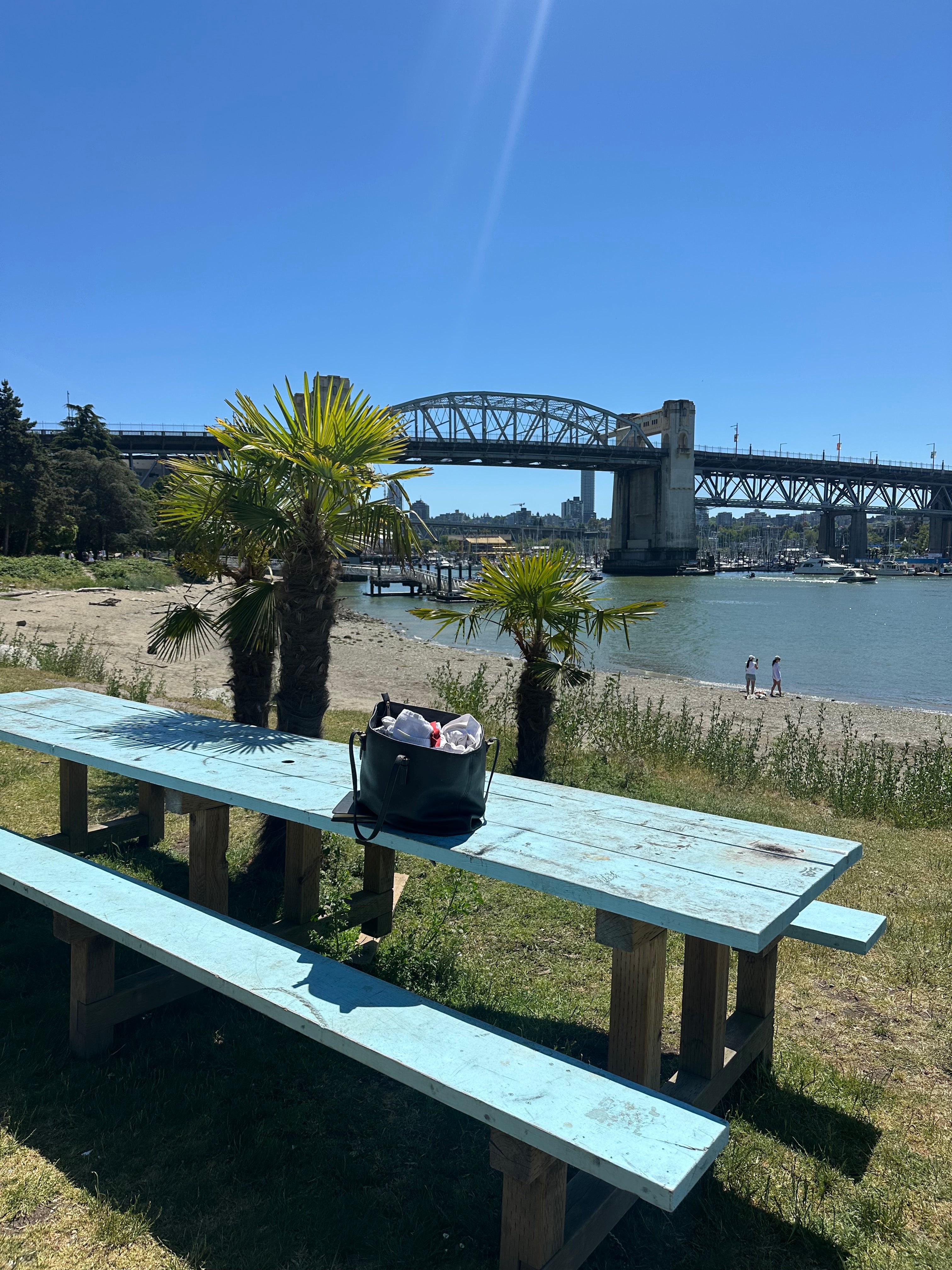 Blue Picnic Bench