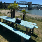 Blue Picnic Bench