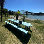 Blue Picnic Bench