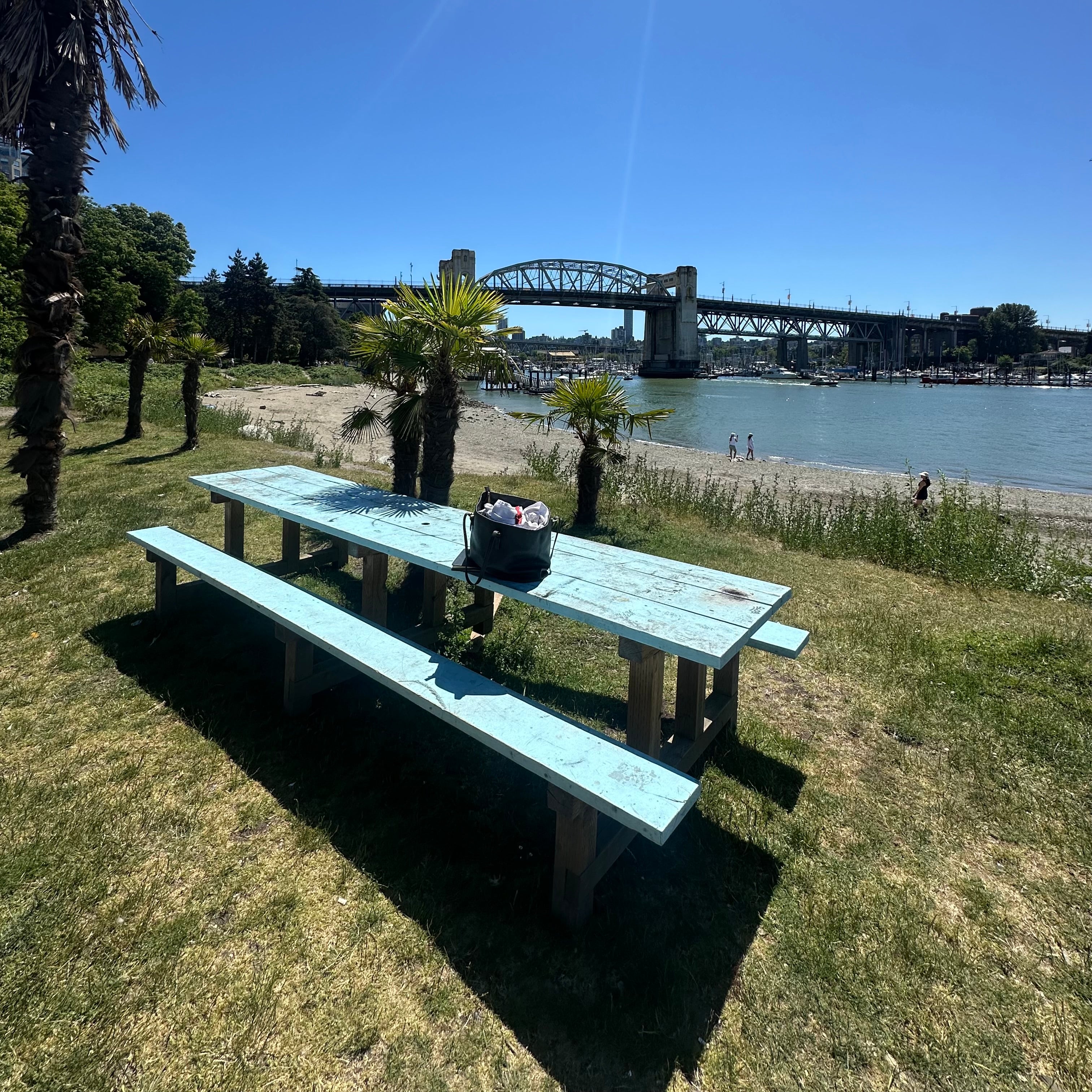 Blue Picnic Bench