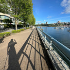 Tree Lined Seawall East