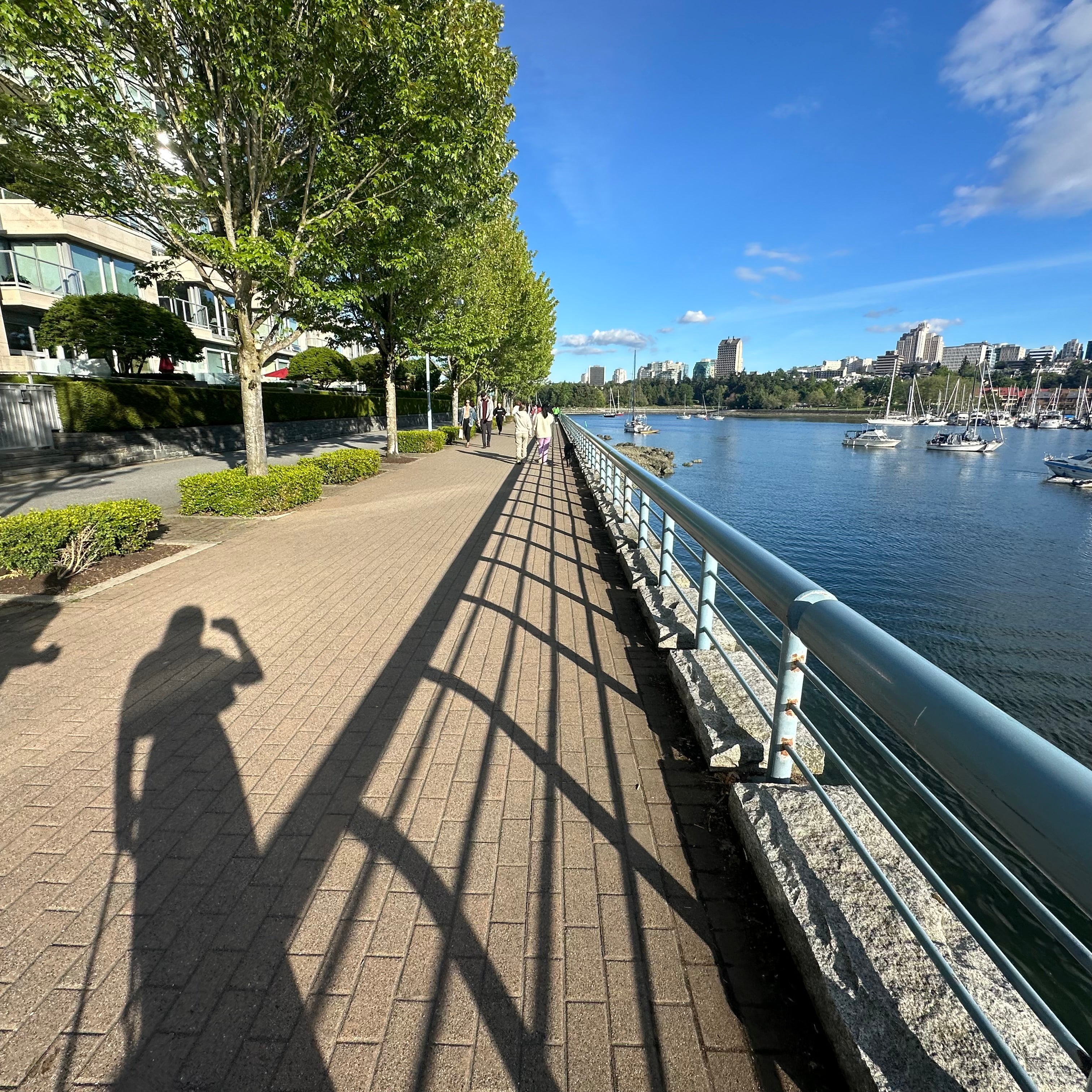 Tree Lined Seawall East