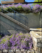 Your product, shot on the lavender stone staircase