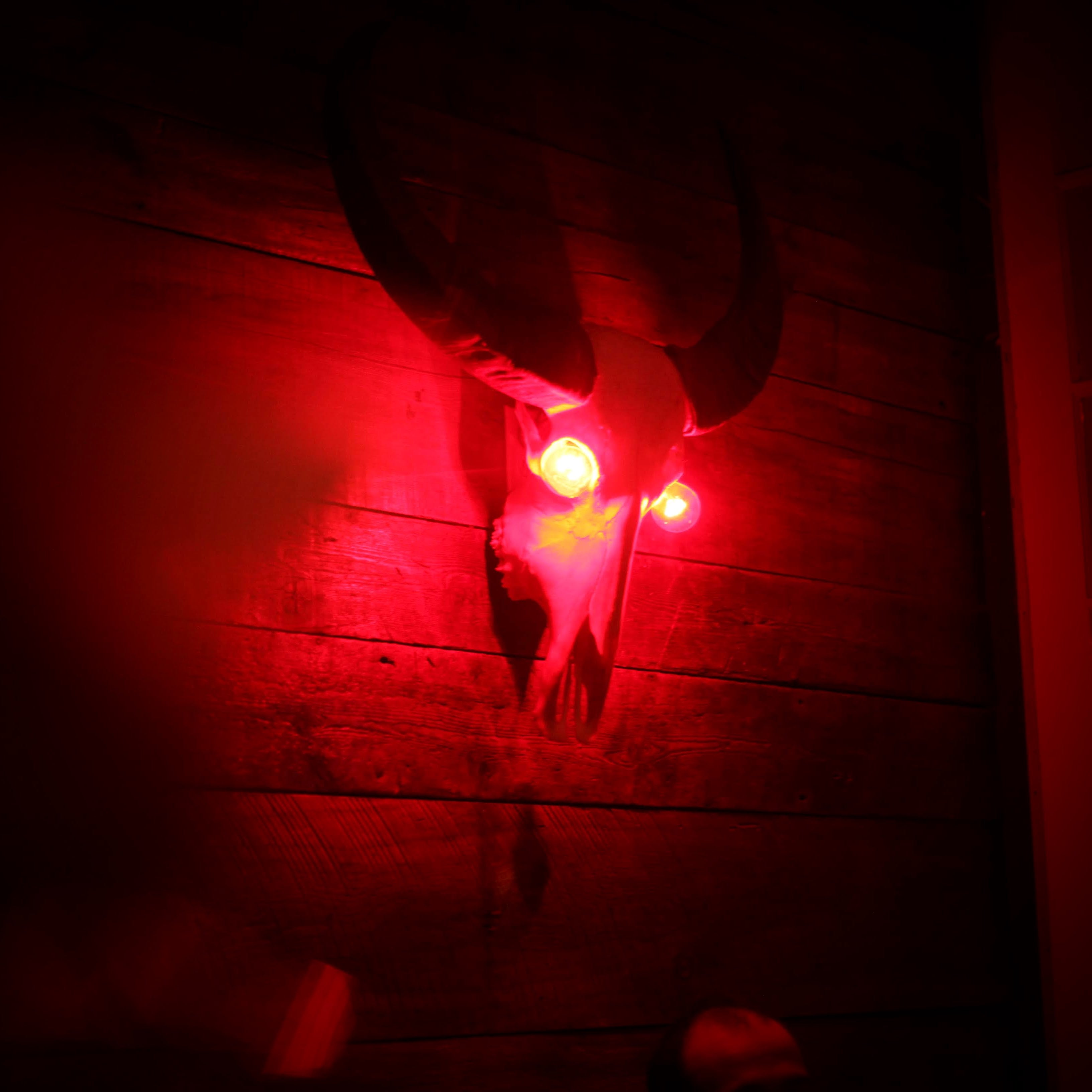 Angels & Demons Halloween House Party