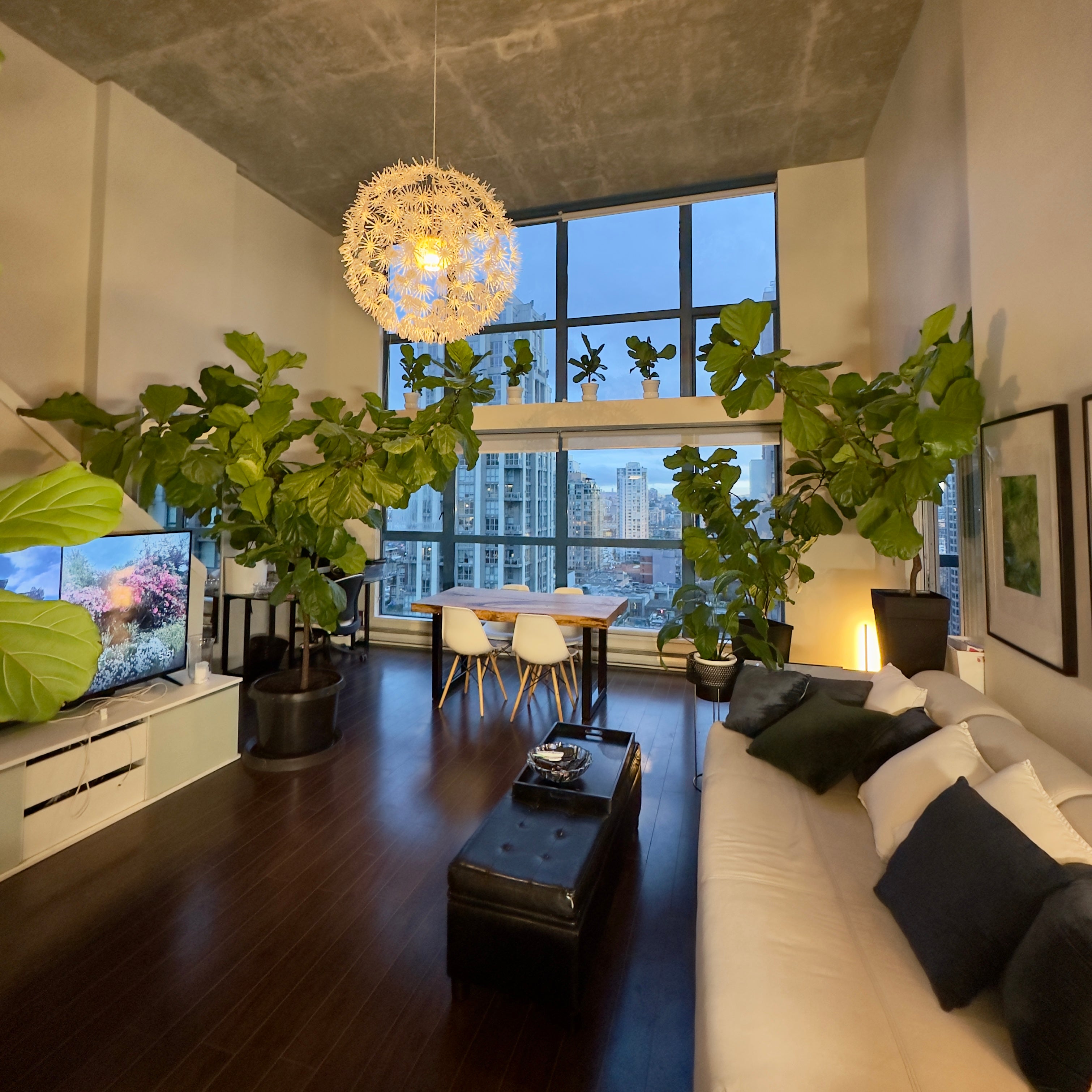 Lifestyle Imagery - The Fiddle Leaf Loft