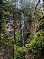 Forest Waterfall Hill