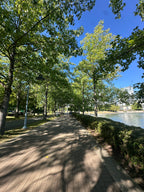 Your product, shot on at a tree lined waterfront walkway