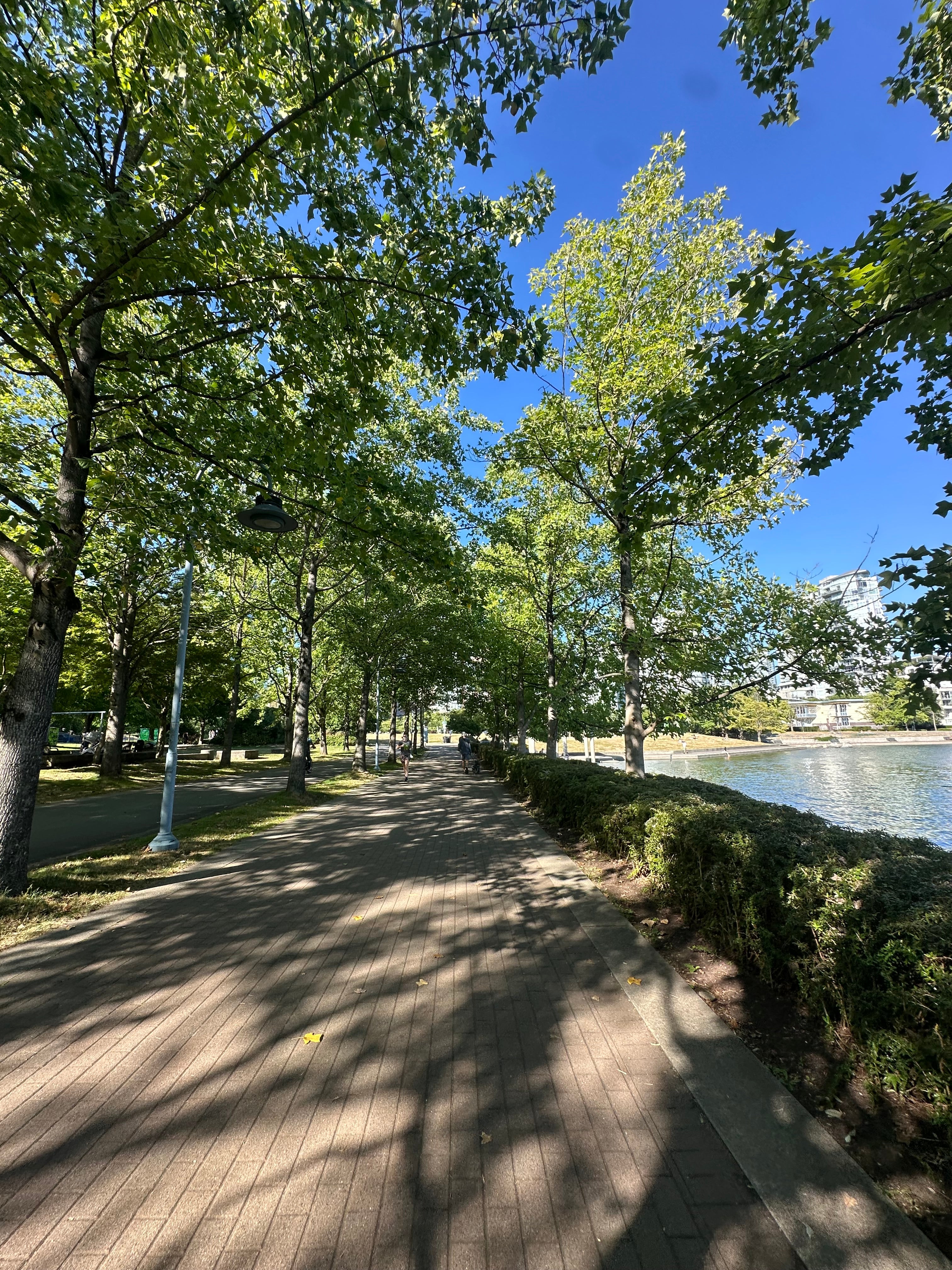 Your product, shot on at a tree lined waterfront walkway