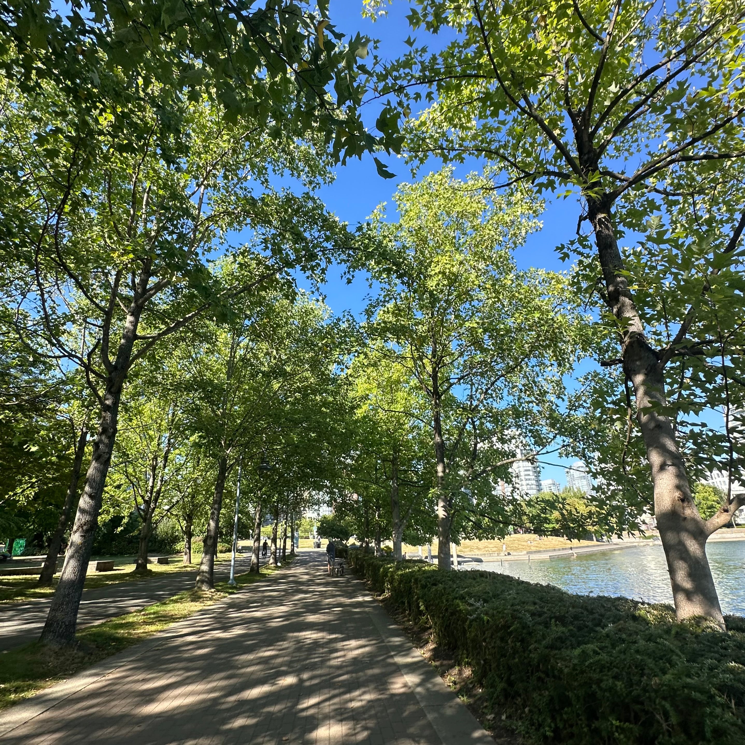 Your product, shot on at a tree lined waterfront walkway
