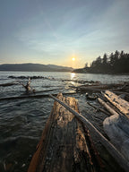 Driftwood Beach